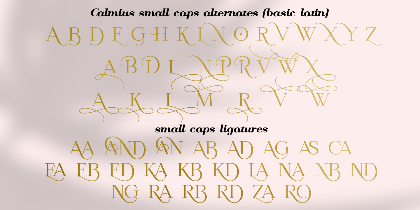 Przykład czcionki Calmius Italic